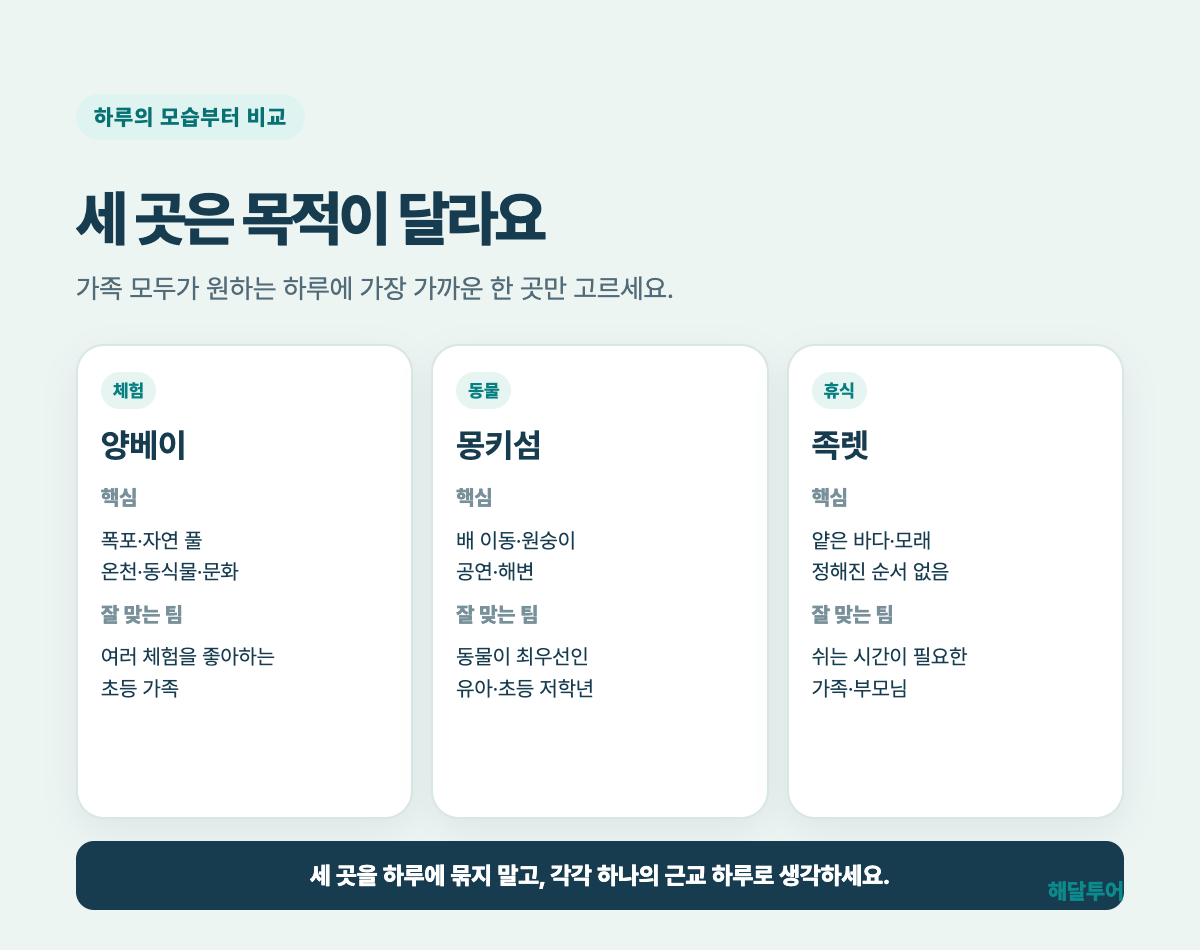 양베이 몽키아일랜드 족렛 비치 핵심 비교표